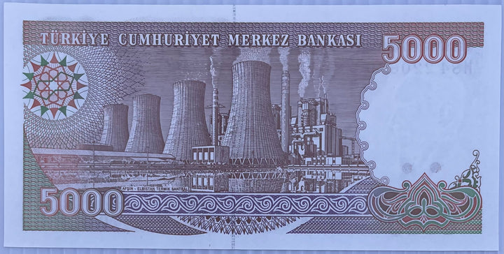 1990-1994(ND) Turkey 5,000 Lirasi P-198 UNC World Banknote
