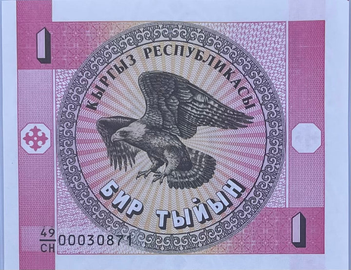 1993 Kyrgyzstan 1 Tyiyn banknote featuring national symbols and cultural design