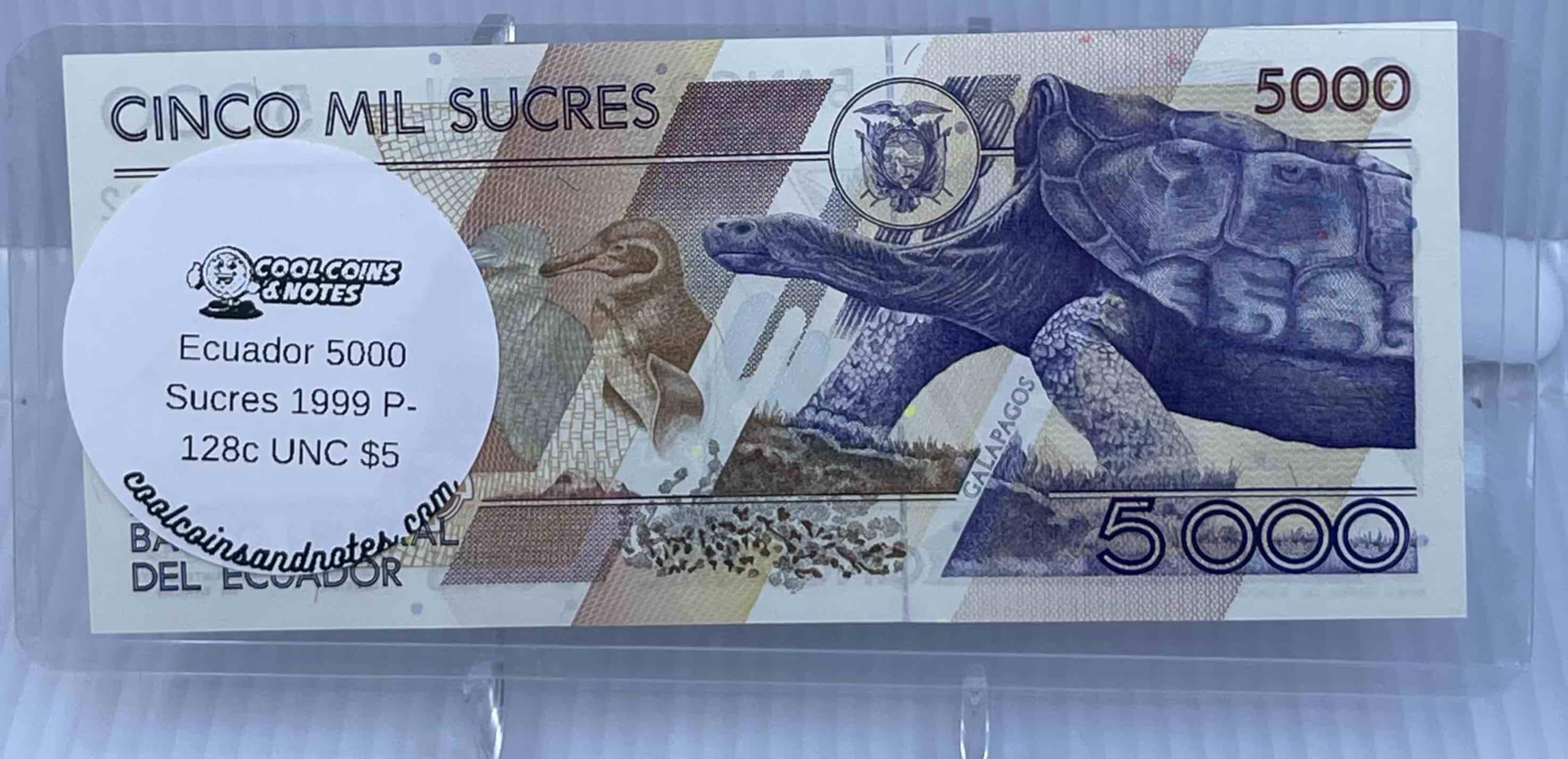 20 Pack Dollar Bill Sleeves - 6.8" x 2.9" Clear Currency Sleeves, Hard Plastic Waterproof Money Holders, Dollar Bill Display Case, Currency Protectors, Organizer for Collectors