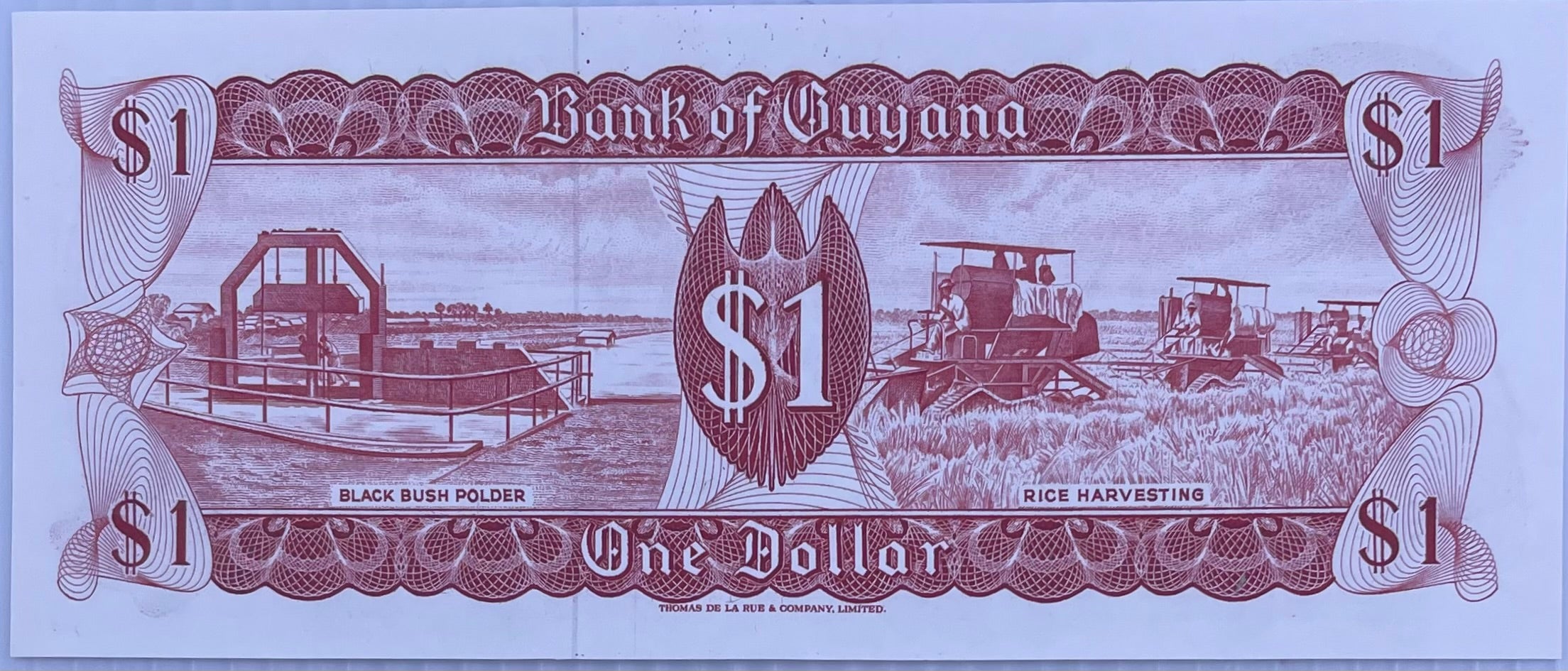 Guyana, 1 dollar, ND (1983), signature 6, P-21e, UNC