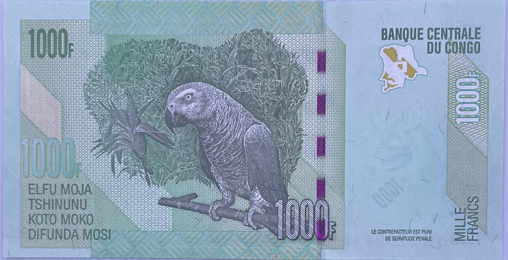 Congo Democratic Republic 2022 1,000 Francs, P-101d, UNC PARROT World Banknote