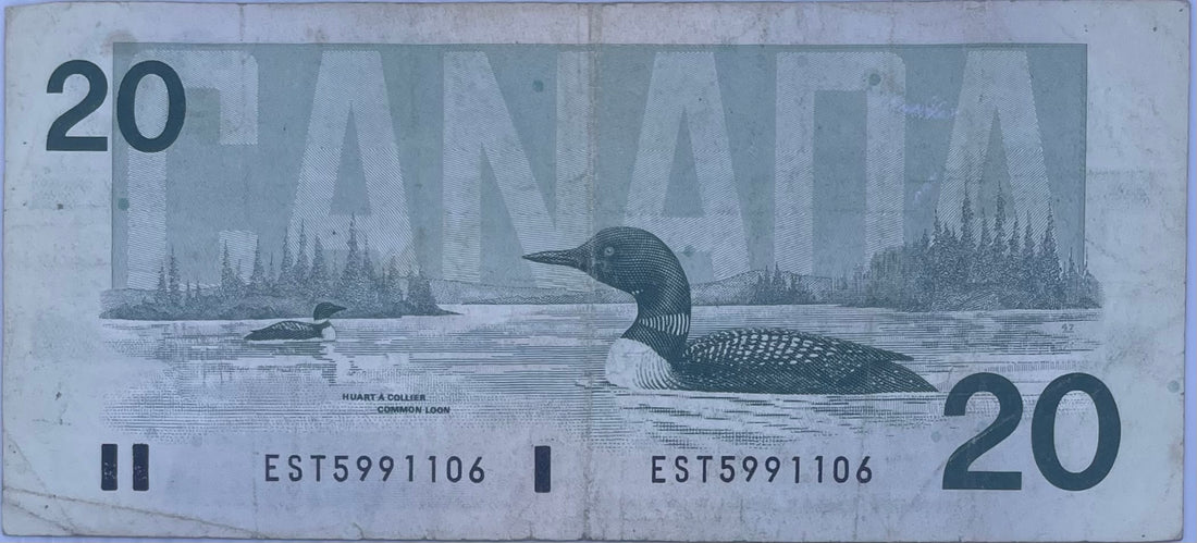 Canada 1991 20 Dollars P97d, Used Banknote