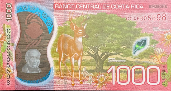 2019 Costa Rica 1,000 Colones P-280 UNC Polymer World Banknote
