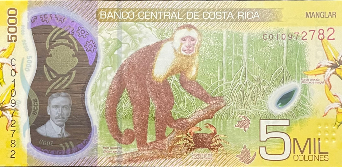 Costa Rica 2018 5000 Colones P-282 UNC Monkey Polymer World Banknote