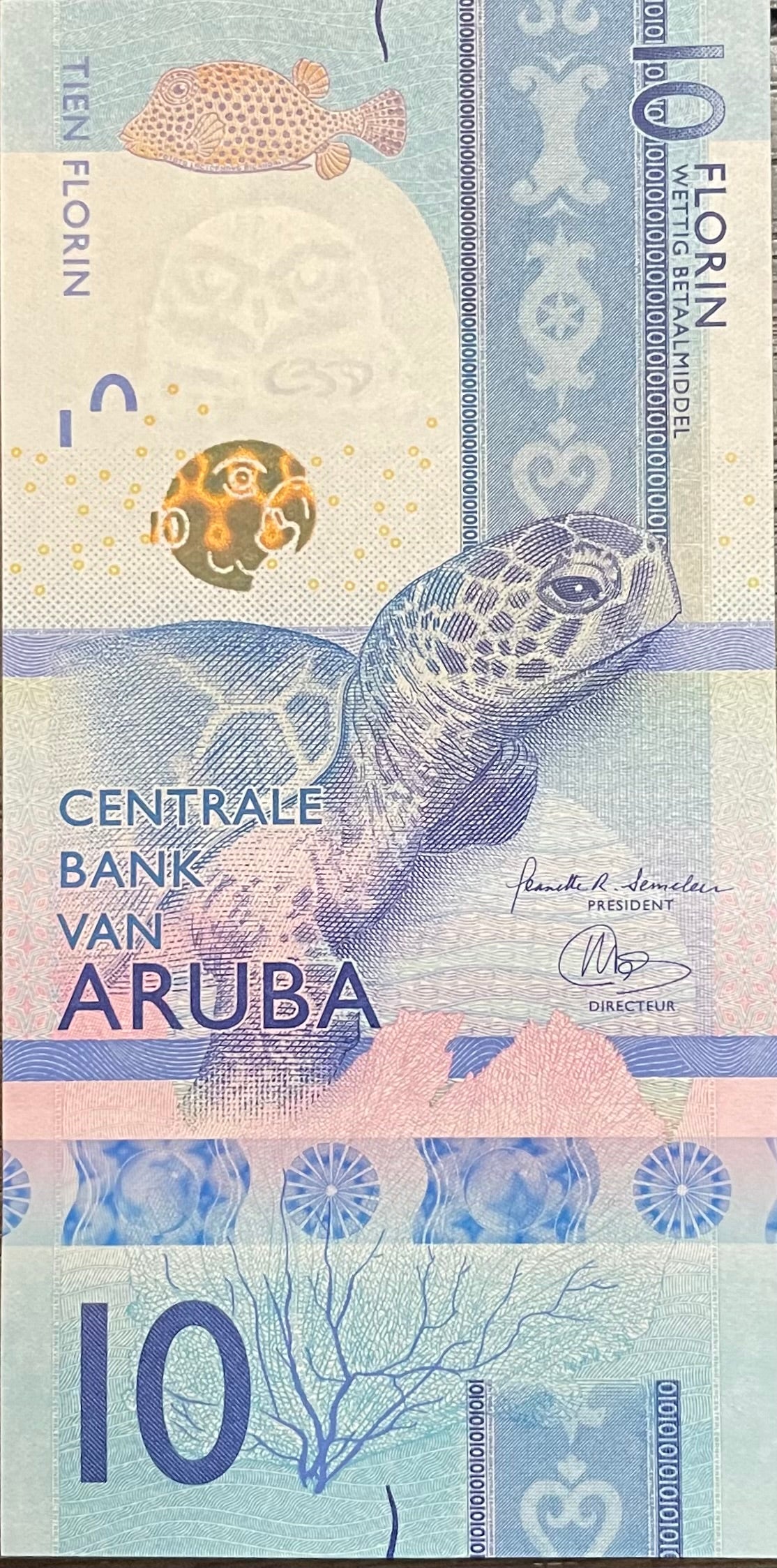Aruba 2019 P.21a 10 Florin UNC Turtle World Banknote Currency