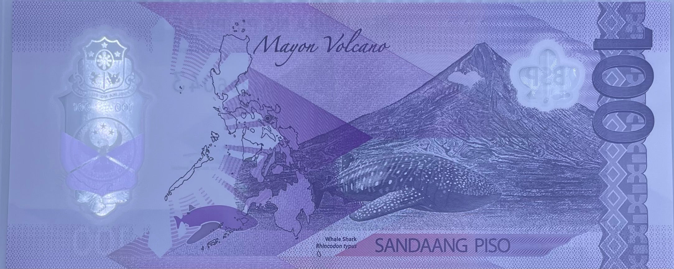2024/2025 Philippines 100 Piso P-250 UNC Polymer World Banknote