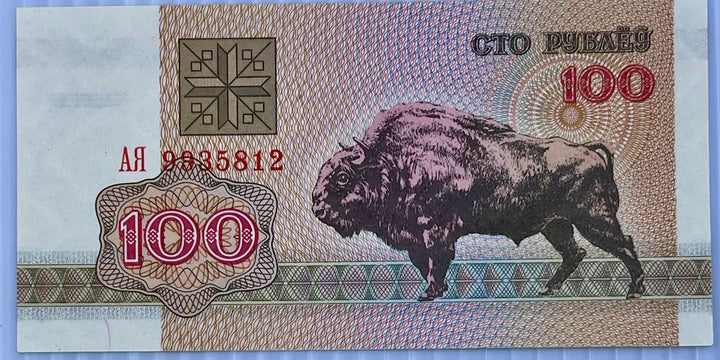 Belarus 1992 100 Rubles P-8 UNC  World Banknote Currency - Cool Coins & Notes