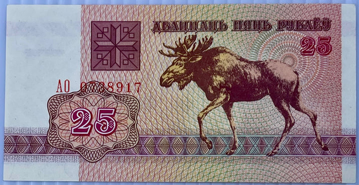 Belarus 1992 25 Rubles P-6 UNC  World Banknote Currency - Cool Coins & Notes