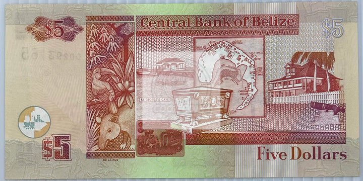 Belize 2005 5 Dollars P61b UNC QEII World Banknote Currency - Cool Coins & Notes