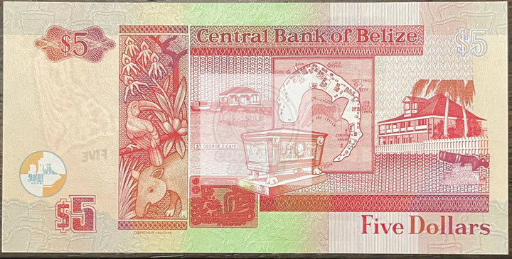 Belize 5 Dollars P 67h 2020 UNC Queen Elizabeth II Banknote - Cool Coins & Notes