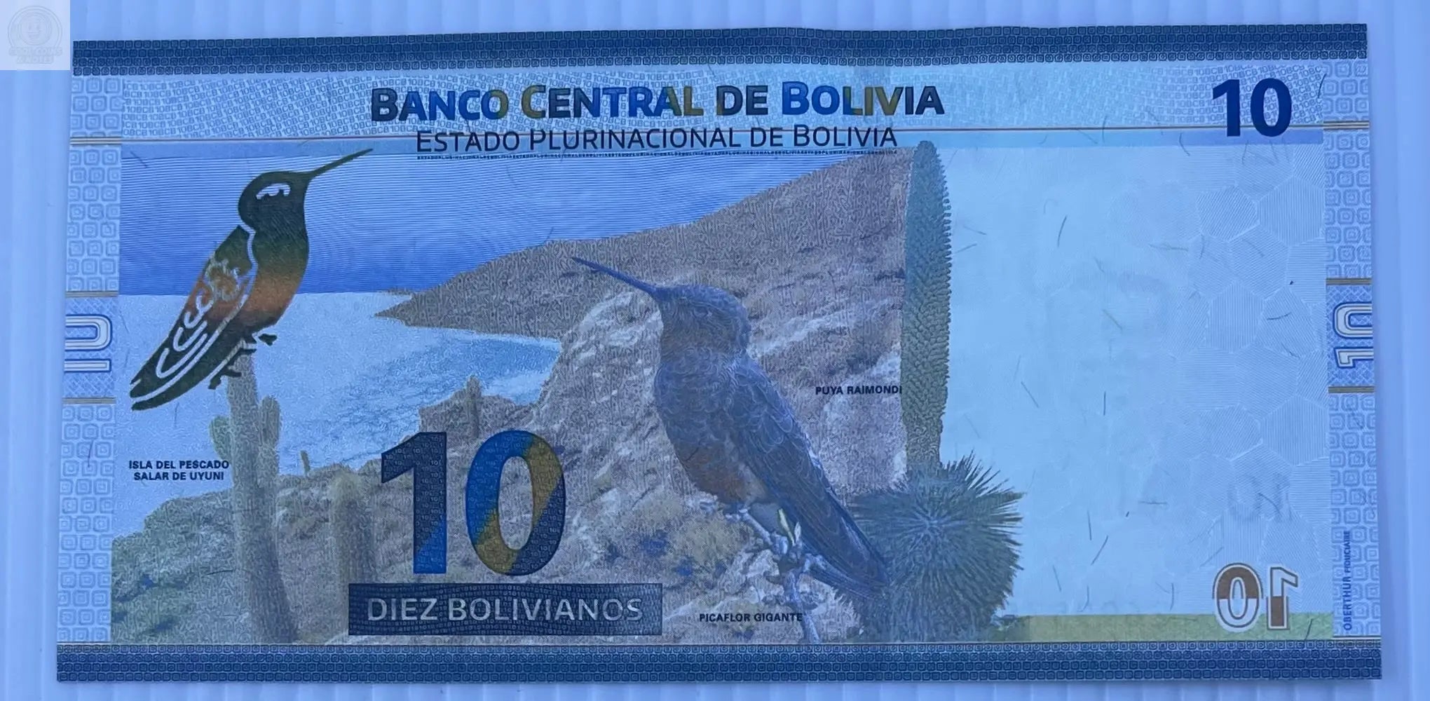 Bolivia 2018 10 Bolivianos World Banknote Currency Cool Coins & Notes