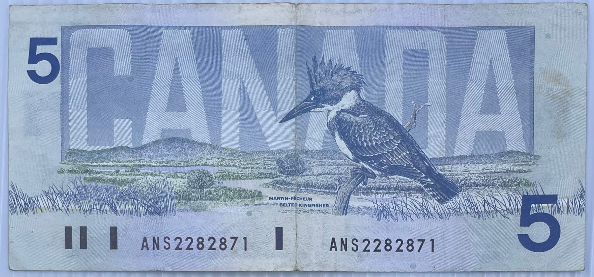 1986 Canada $5 bill featuring Sir Wilfrid Laurier with tear on bottom left corner