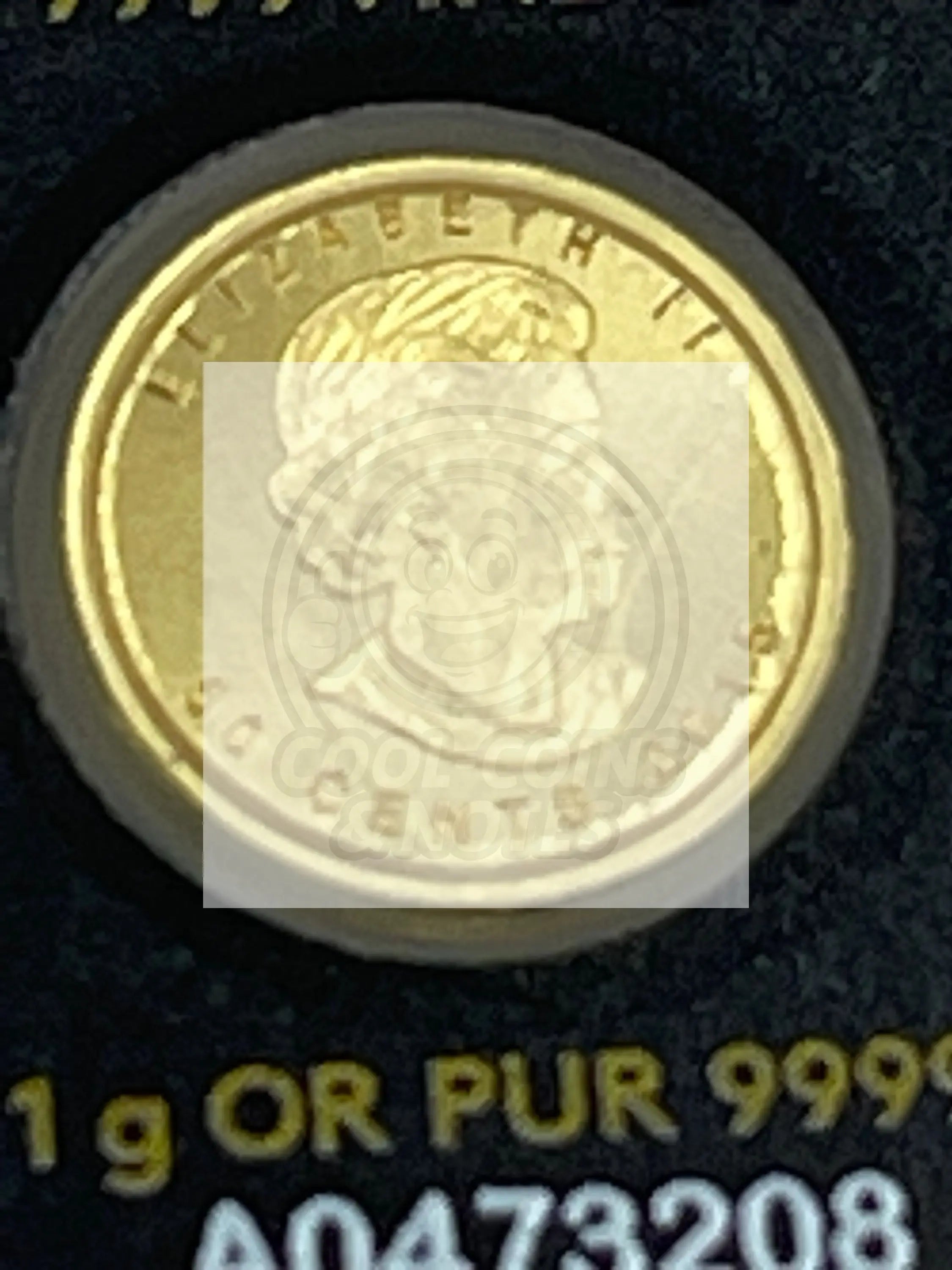 Canada 1 Gram Gold Coin UNC - Cool Coins & Notes