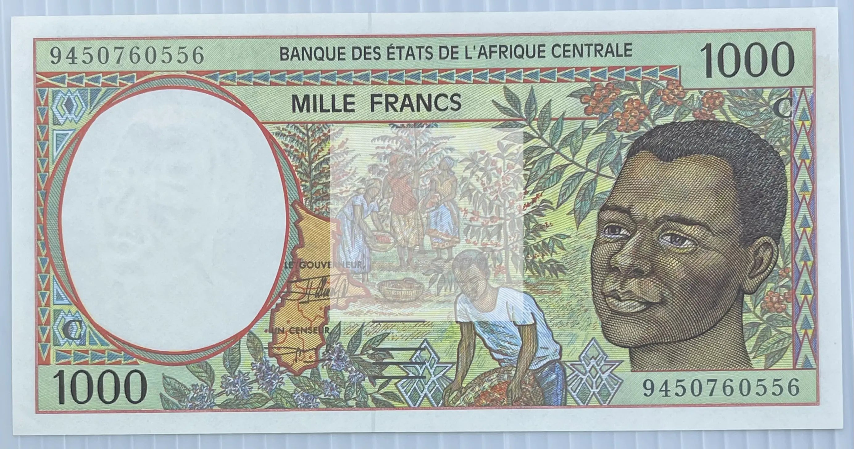 Central African States, Congo, 1000 Francs, 1994, P-102Cb, UNC - Cool Coins & Notes