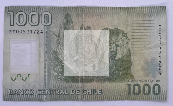 Chile 1000 Pesos 2014 Polymer Banknote, Used - Cool Coins & Notes