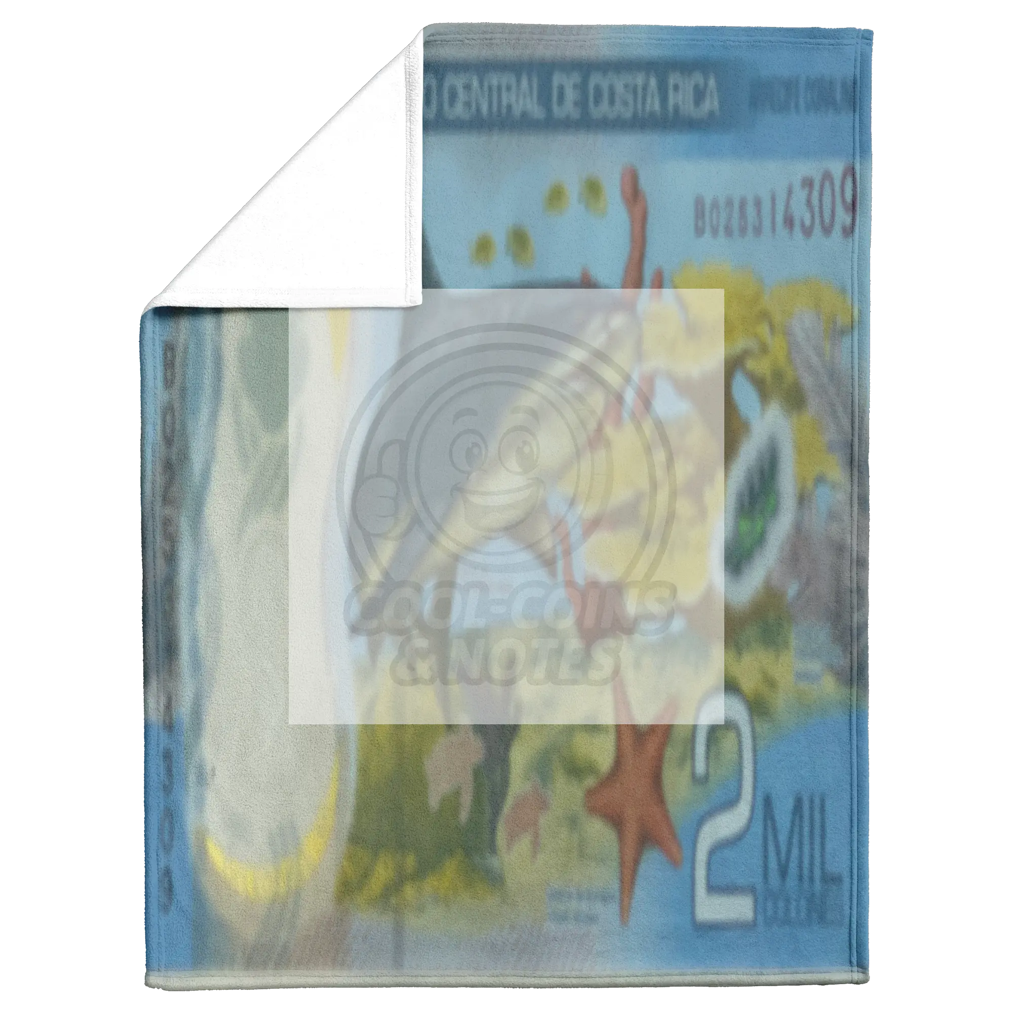 Costa_Rica_2018_2000_Colones_P-281_Blank_V_Blanket_Fold_Mockup.png