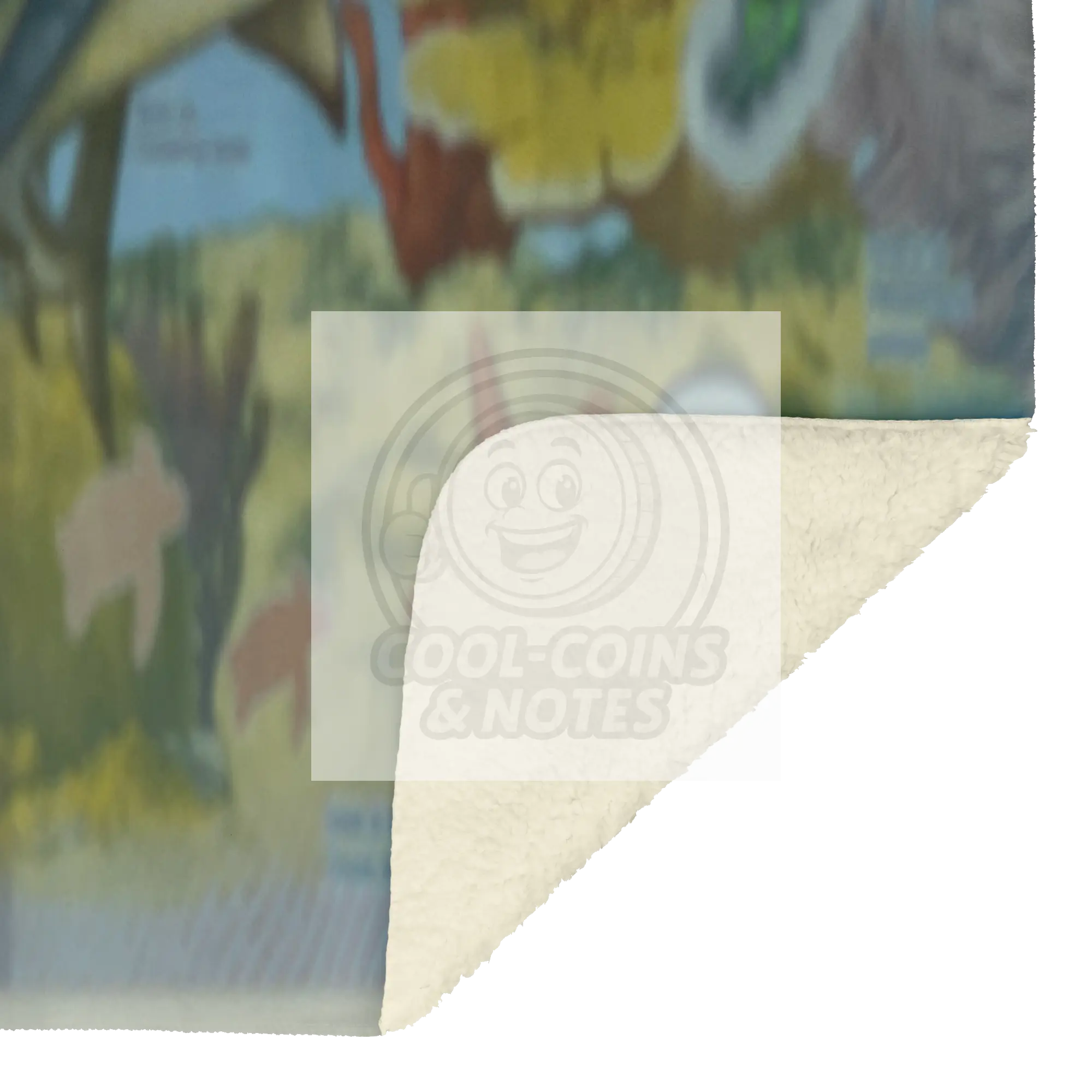 Costa_Rica_2018_2000_Colones_P-281_Blank_V_Blanket_Sherpa_Mockup.png
