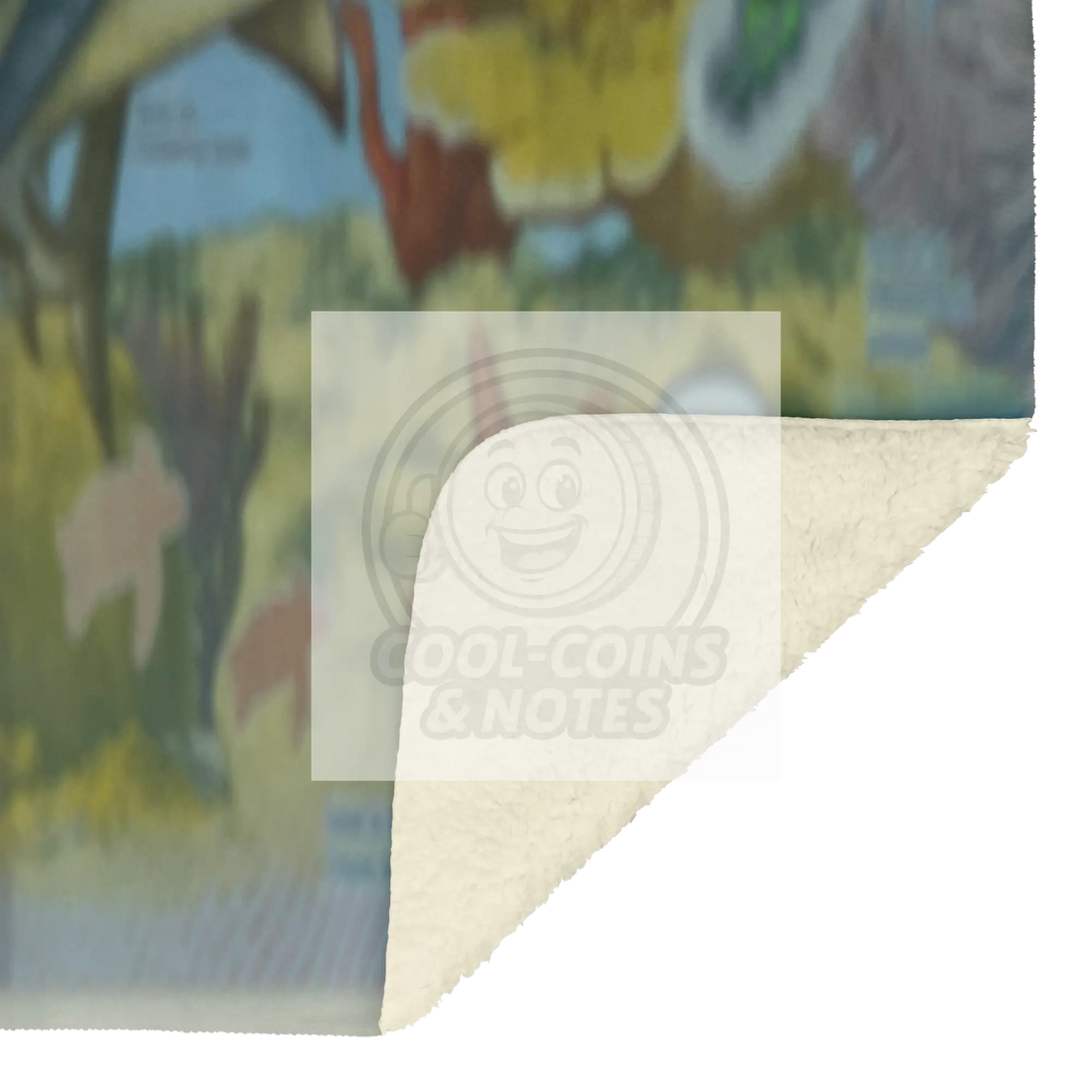 Costa_Rica_2018_2000_Colones_P-281_Blank_V_Blanket_Sherpa_Mockup.png