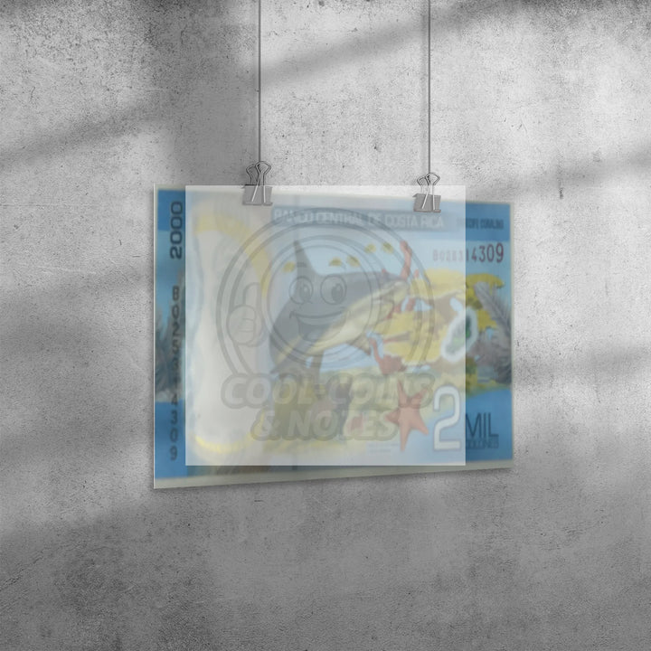 Costa_Rica_2018_2000_Colones_P-281_Shark_16x20_Angle_H_Mockup.png