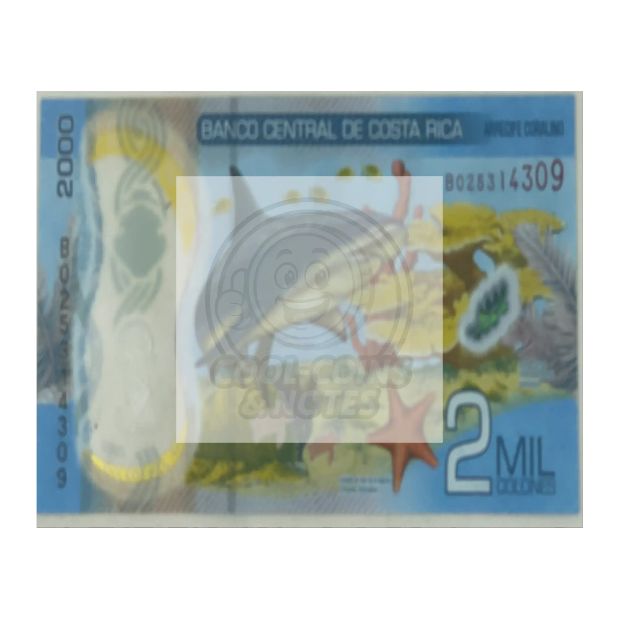 Costa_Rica_2018_2000_Colones_P-281_Shark_16x20_Flat_H_Mockup.png