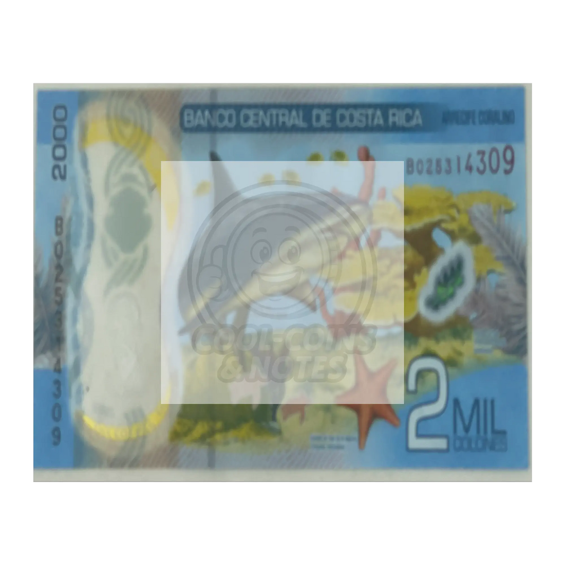 Costa_Rica_2018_2000_Colones_P-281_Shark_16x20_Flat_H_Mockup.png