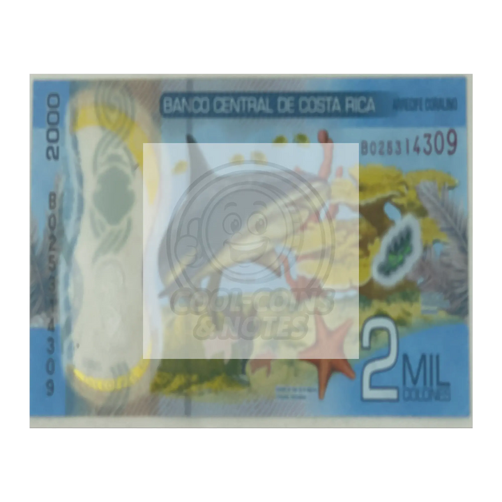 Costa_Rica_2018_2000_Colones_P-281_Shark_16x20_Flat_H_Mockup.png