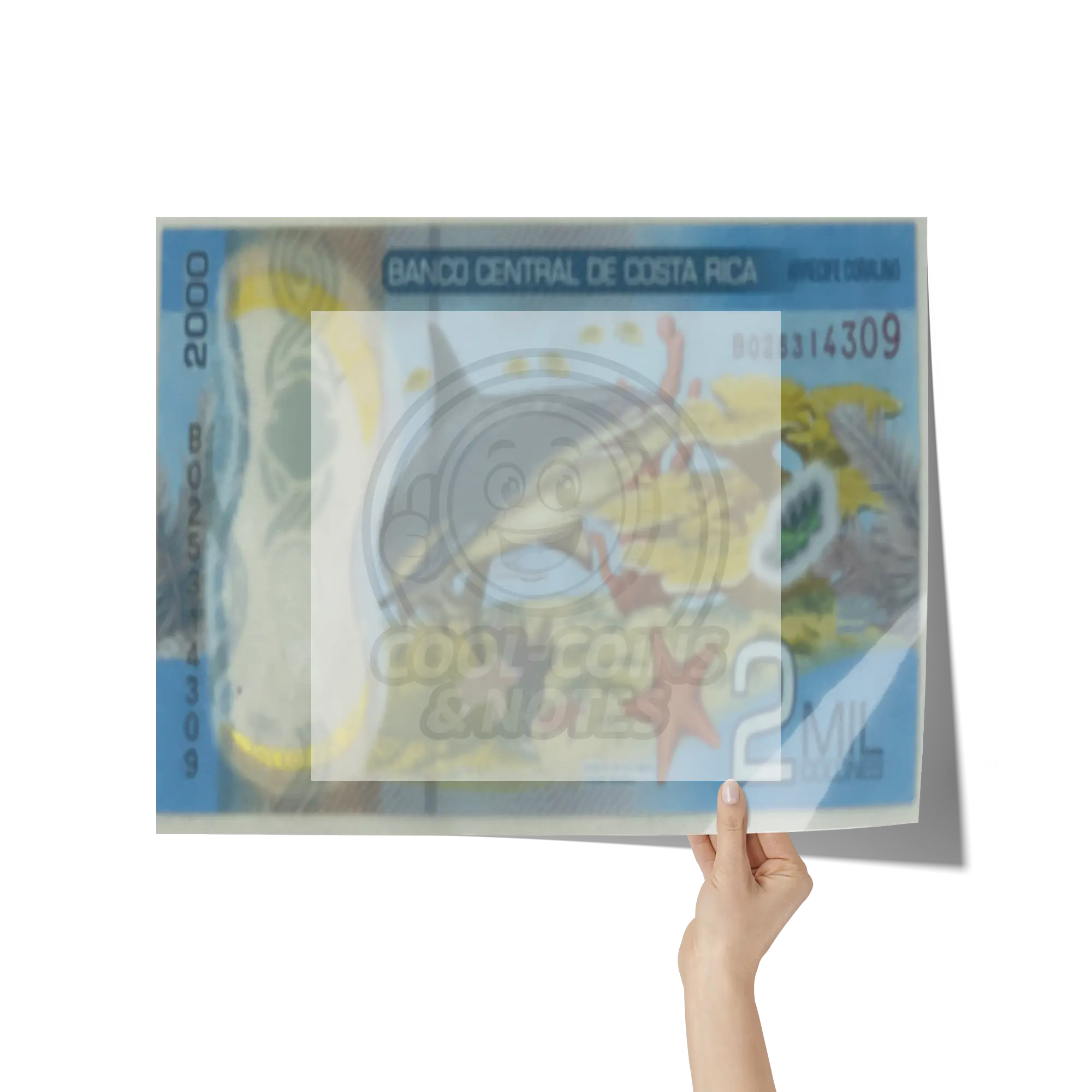 Costa_Rica_2018_2000_Colones_P-281_Shark_16x20_Hand_H_Mockup.png