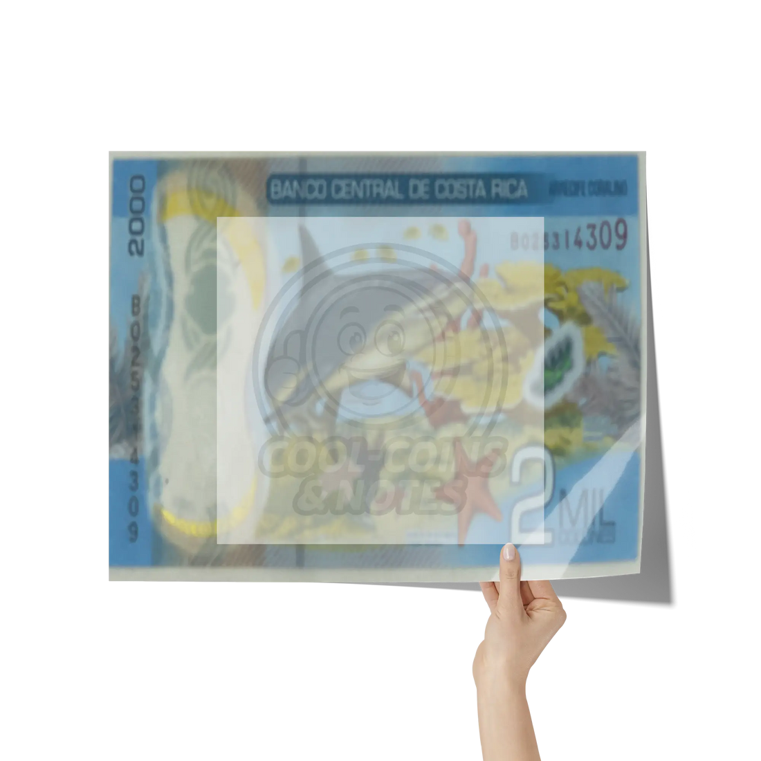 Costa_Rica_2018_2000_Colones_P-281_Shark_16x20_Hand_H_Mockup.png