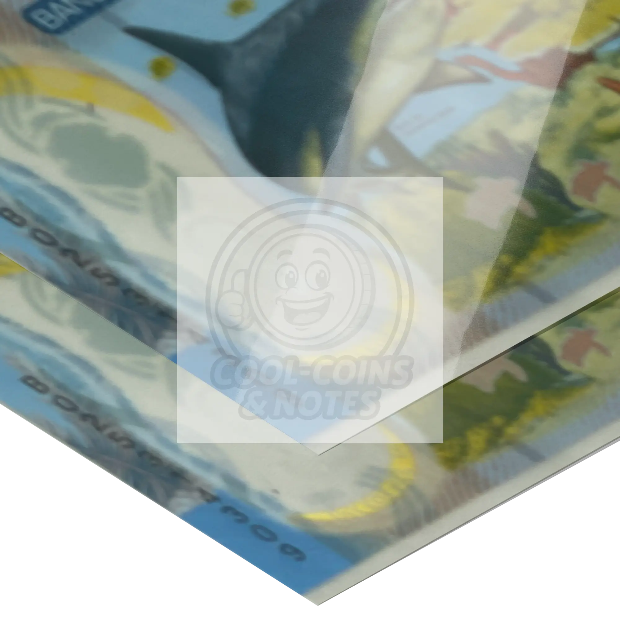 Costa_Rica_2018_2000_Colones_P-281_Shark_16x20_Paper_H_Mockup.png