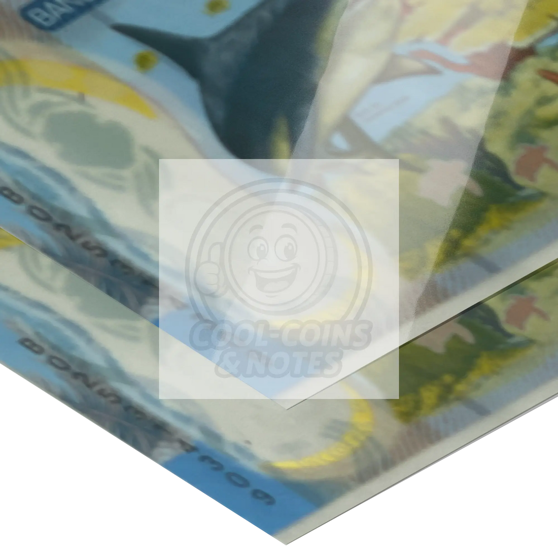 Costa_Rica_2018_2000_Colones_P-281_Shark_16x20_Paper_H_Mockup.png