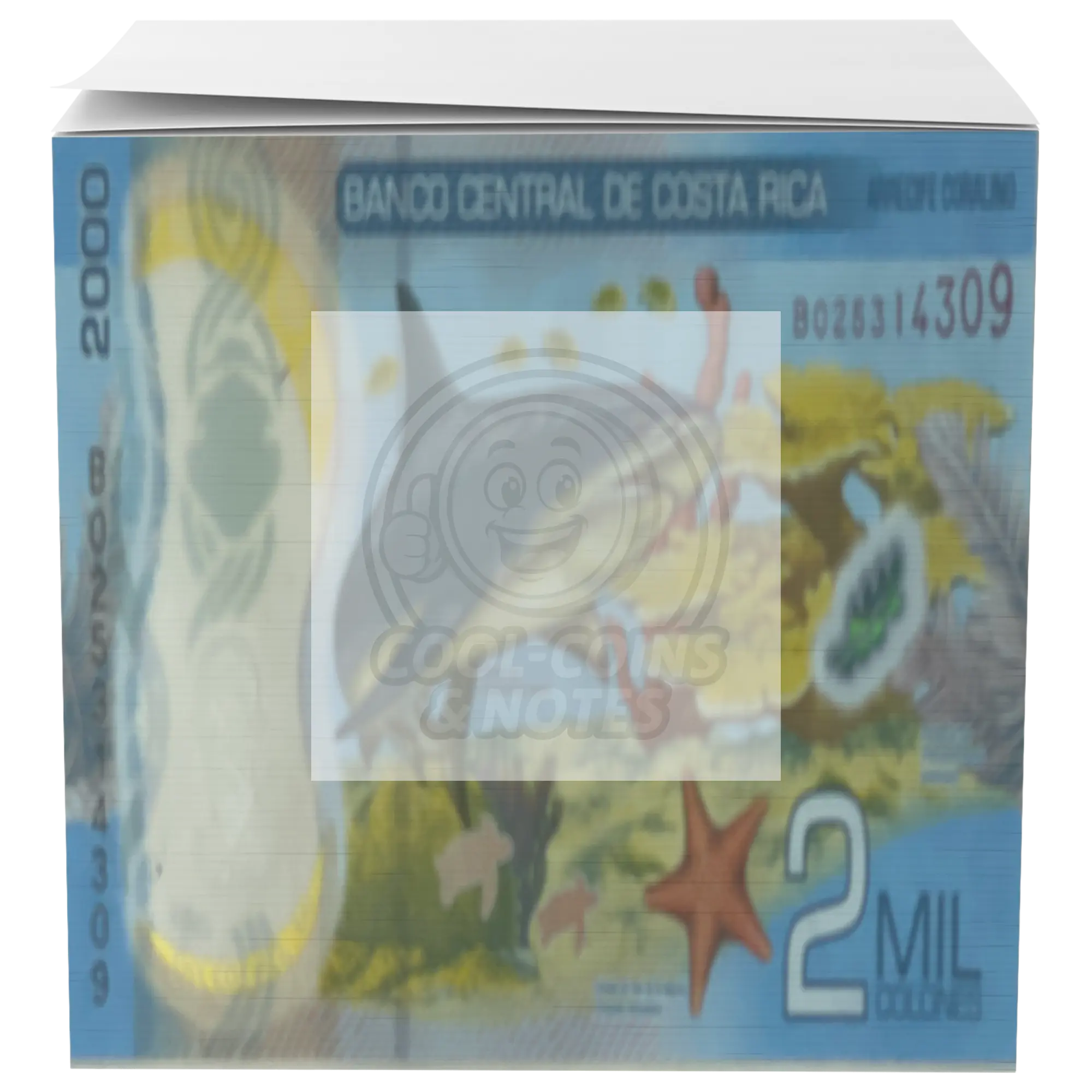 Costa_Rica_2018_2000_Colones_P-281_Shark_Main_Straight_Mockup.png