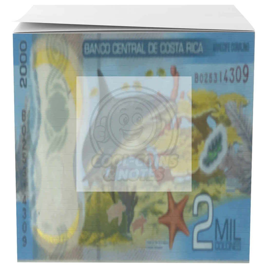 Costa_Rica_2018_2000_Colones_P-281_Shark_Main_Straight_Mockup.png
