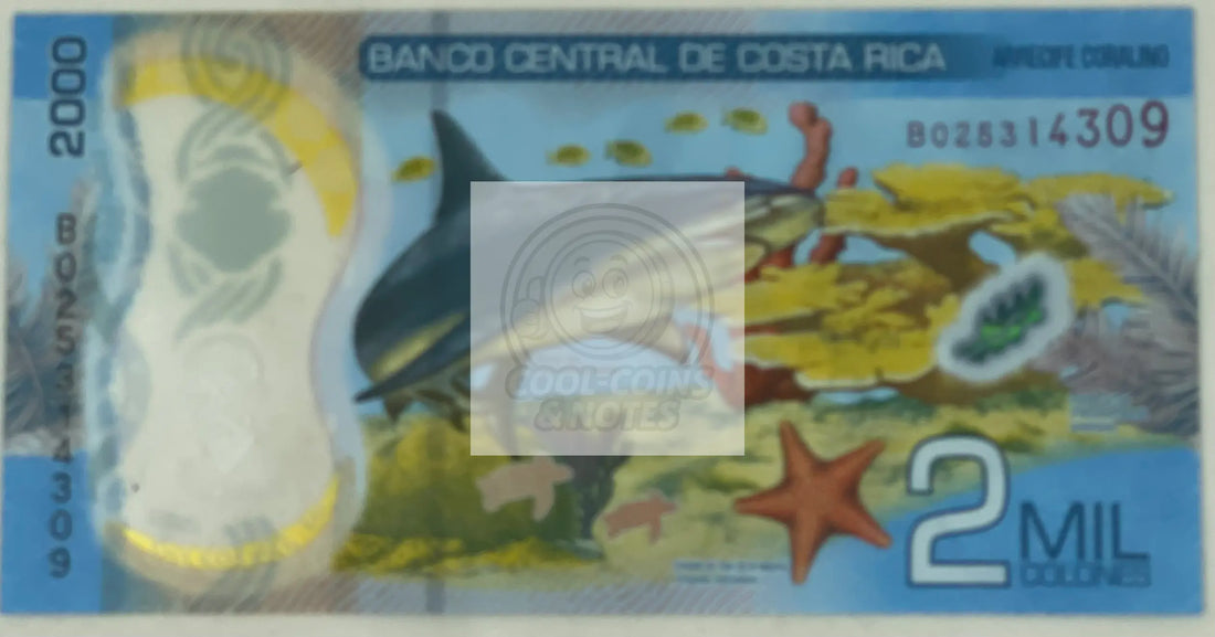 Costa Rica 2018 2000 Colones P-281 UNC SHARK Polymer World Banknote - Cool Coins & Notes