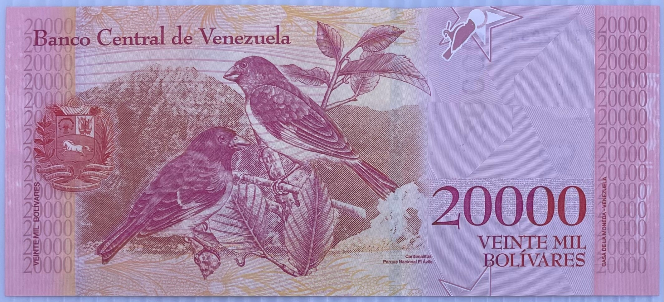 Venezuela 20,000 Bolivares Note 2017,  P-99, UNC World Banknote Currency
