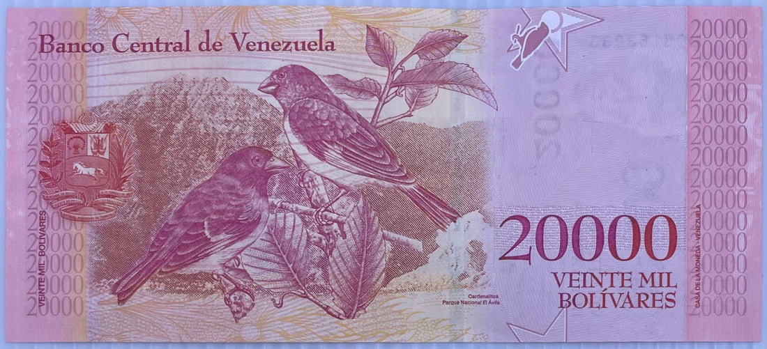 Venezuela 20,000 Bolivares Note 2017,  P-99, UNC World Banknote Currency