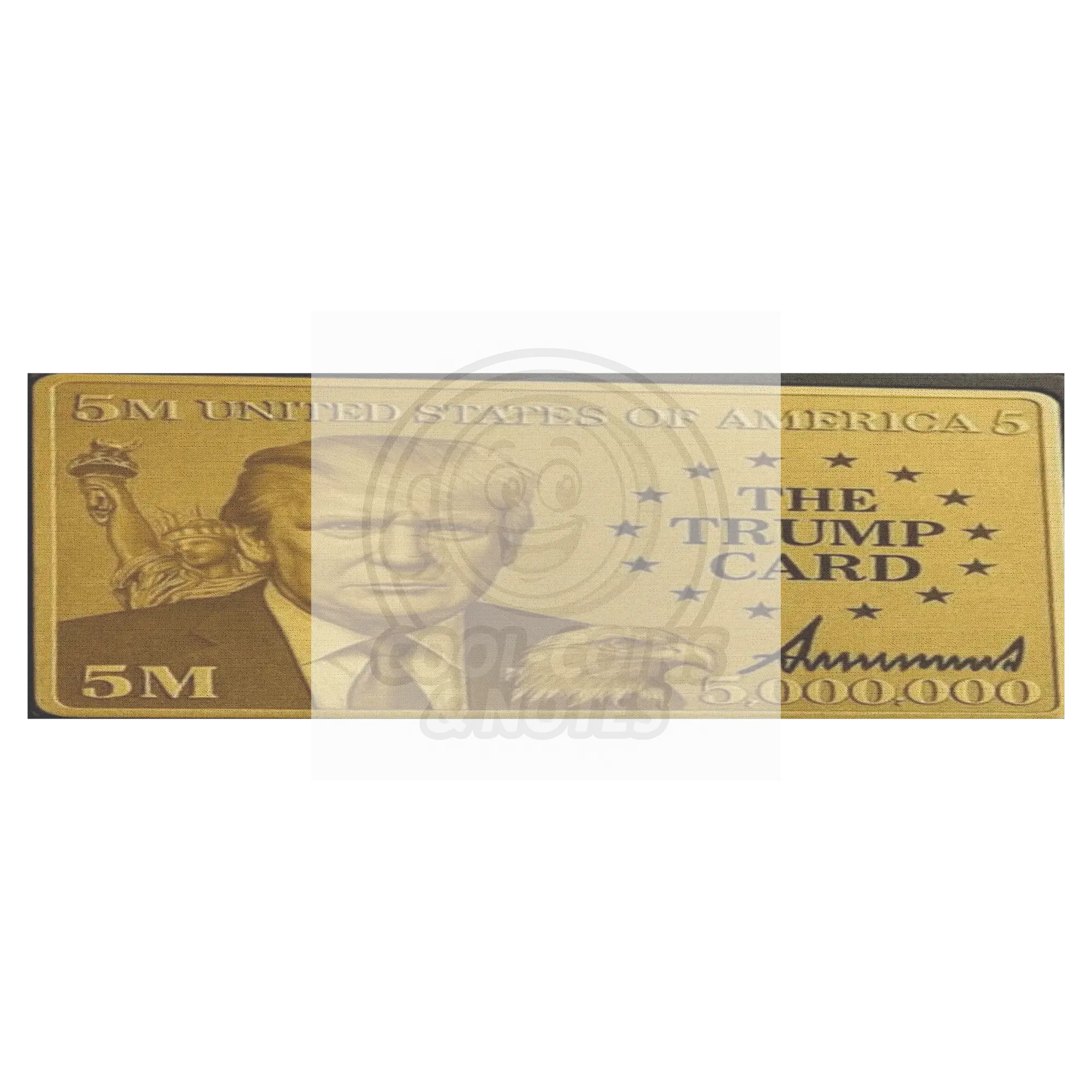 Donald_Trump_5_Million_Dollar_Visa_Gold__H_Panoramic_Main_Mockup.png