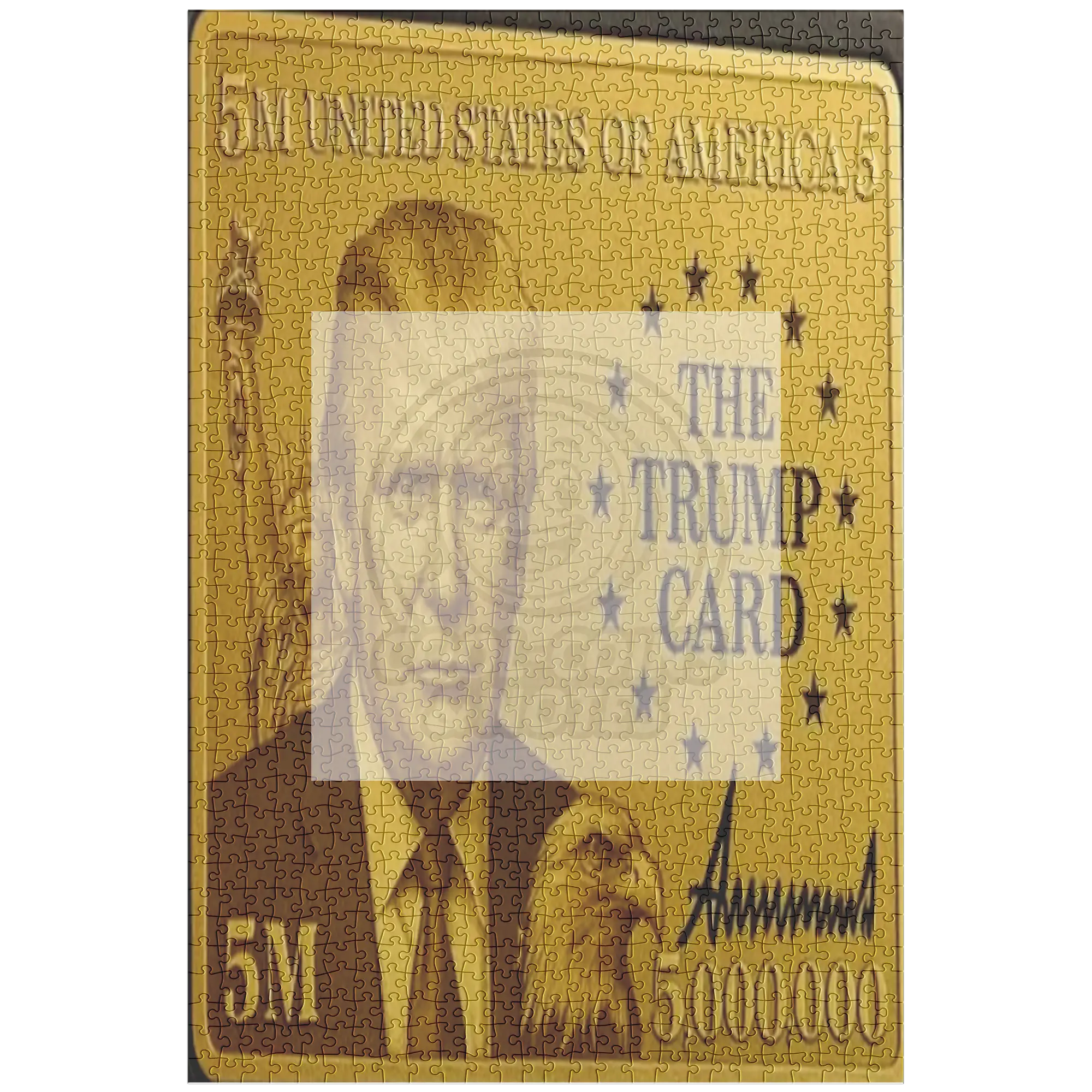 Donald_Trump_5_Million_Dollar_Visa_Gold__1014pc_V_Main_Mockup.png