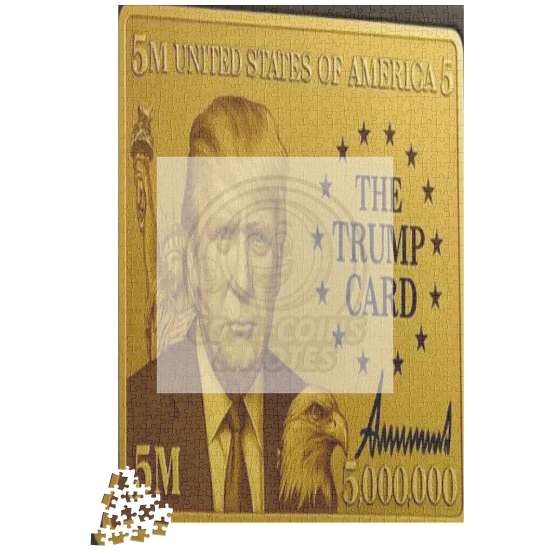 Donald_Trump_5_Million_Dollar_Visa_Gold__1014pc_V_Loose_Mockup.png