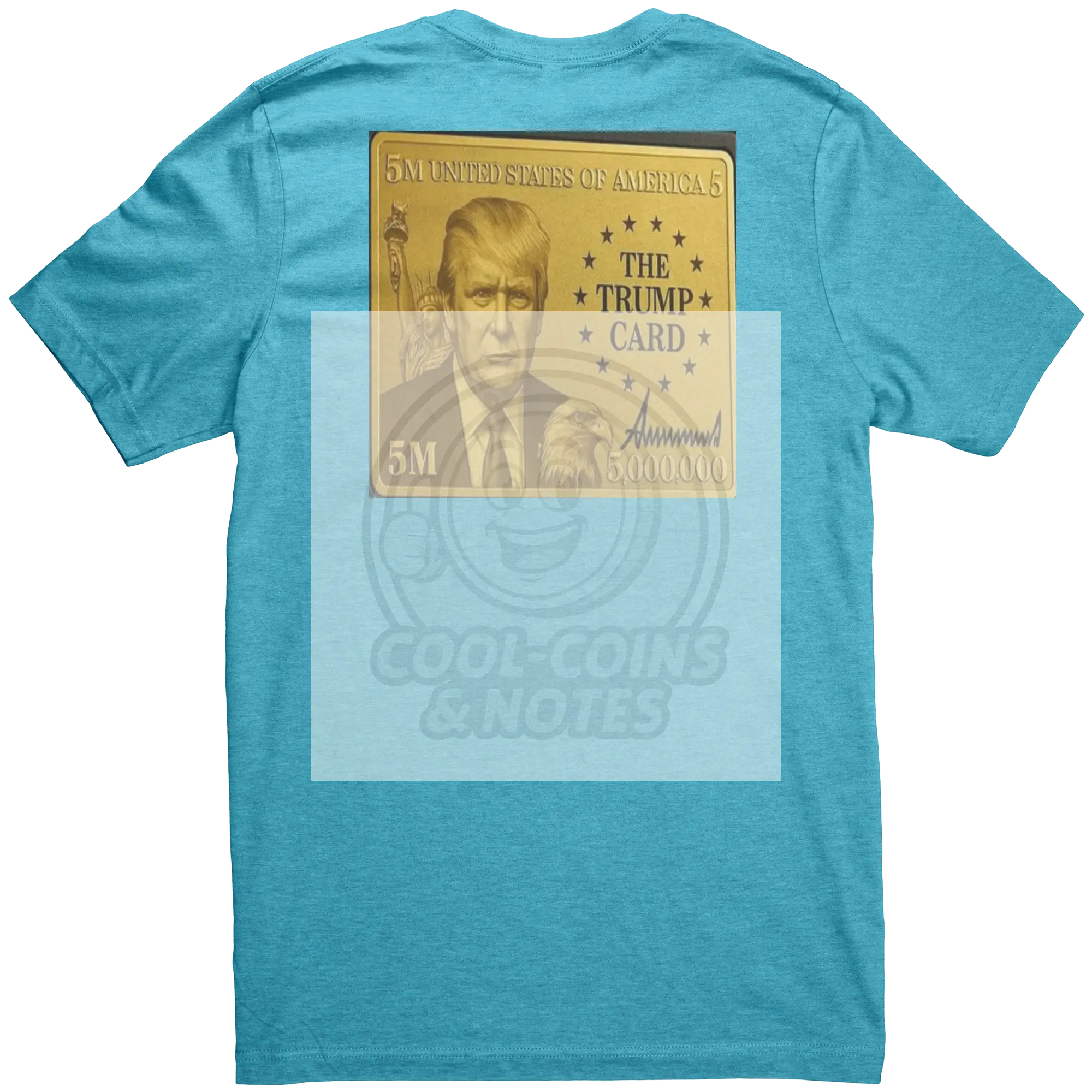 Donald_Trump_5_Million_Dollar_Visa_Gold__Aqua_Heather_Back_Mockup.png