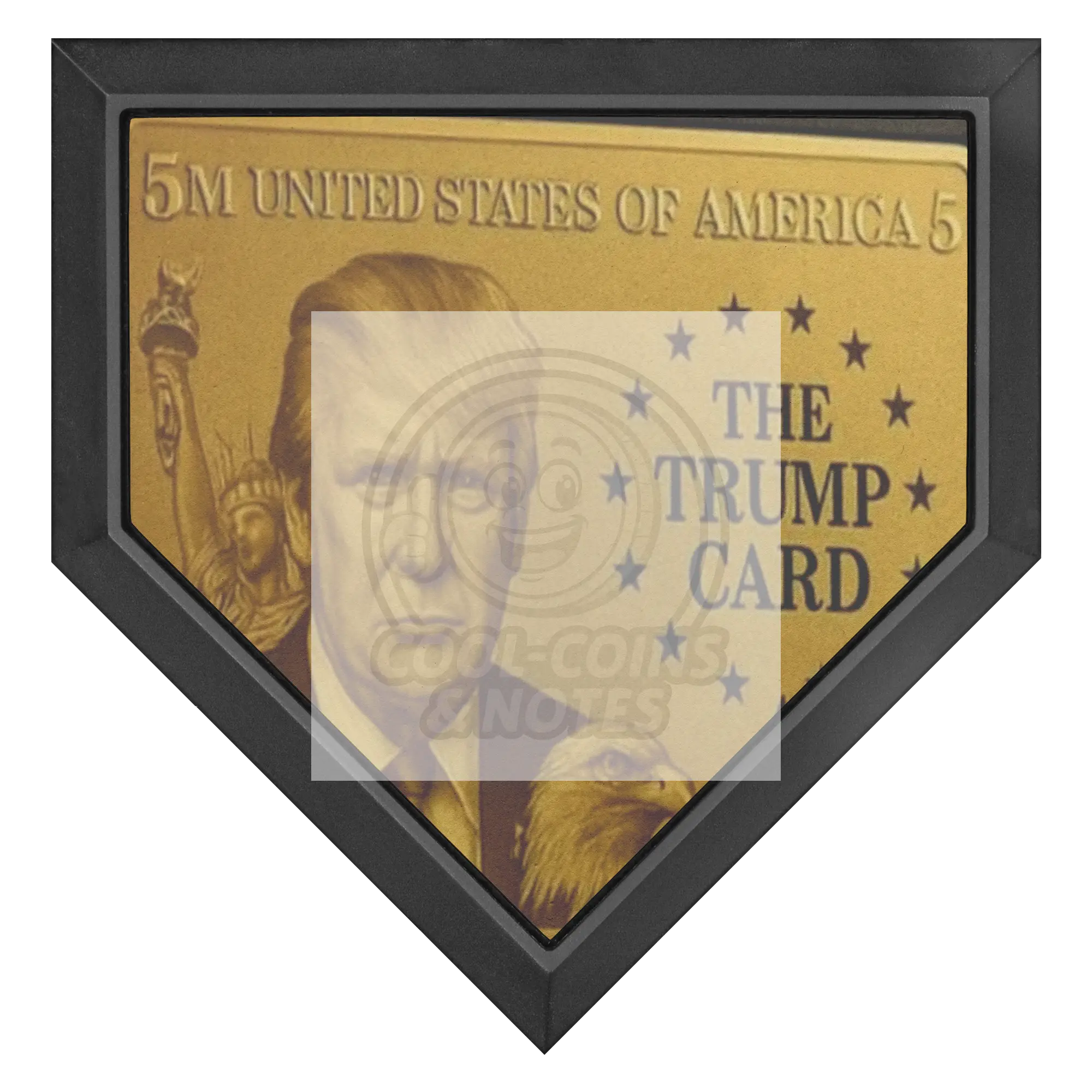 Donald_Trump_5_Million_Dollar_Visa_Gold_Homeplate_Main_Mockup.png