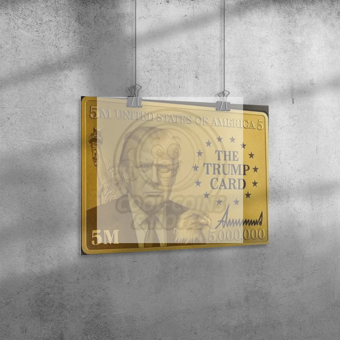 Donald_Trump_5_Million_Dollar_Visa_Gold_16x20_Angle_H_Mockup.png