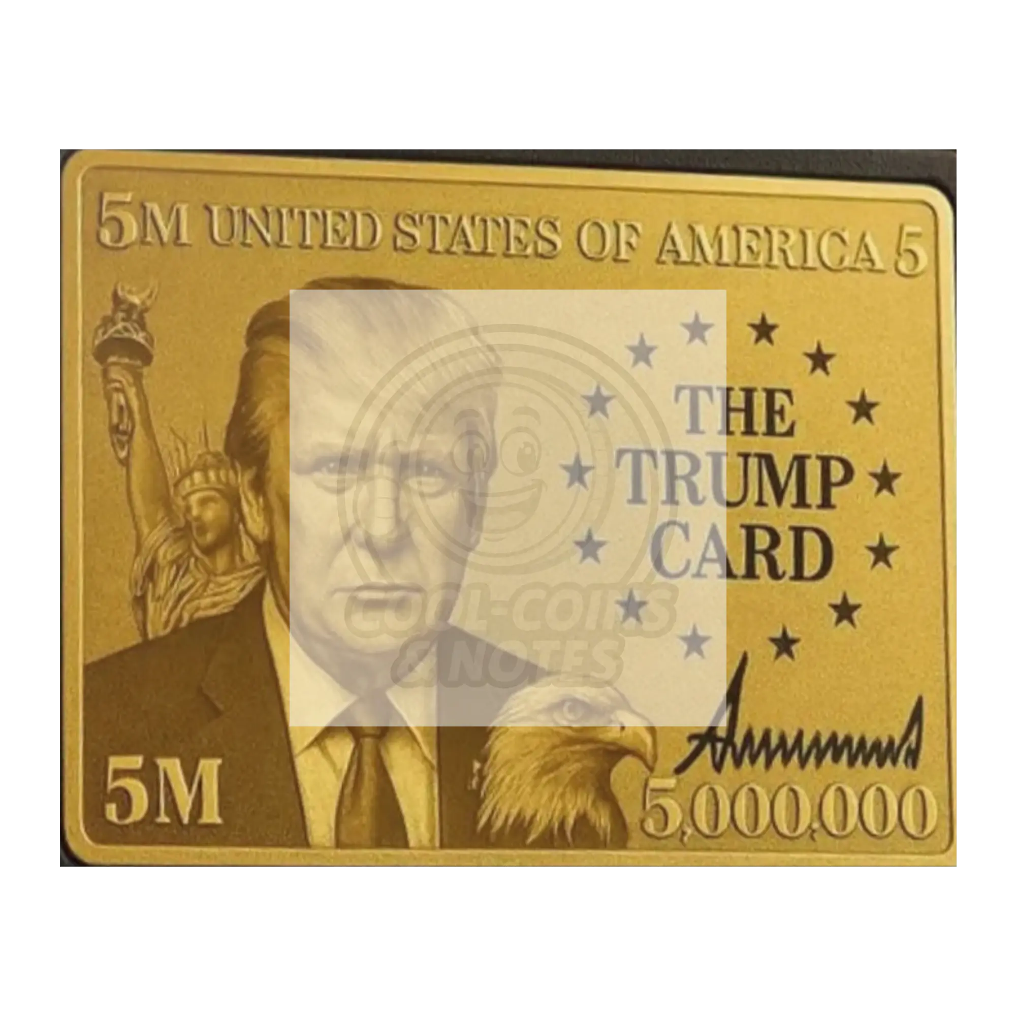 Donald_Trump_5_Million_Dollar_Visa_Gold_16x20_Flat_H_Mockup.png