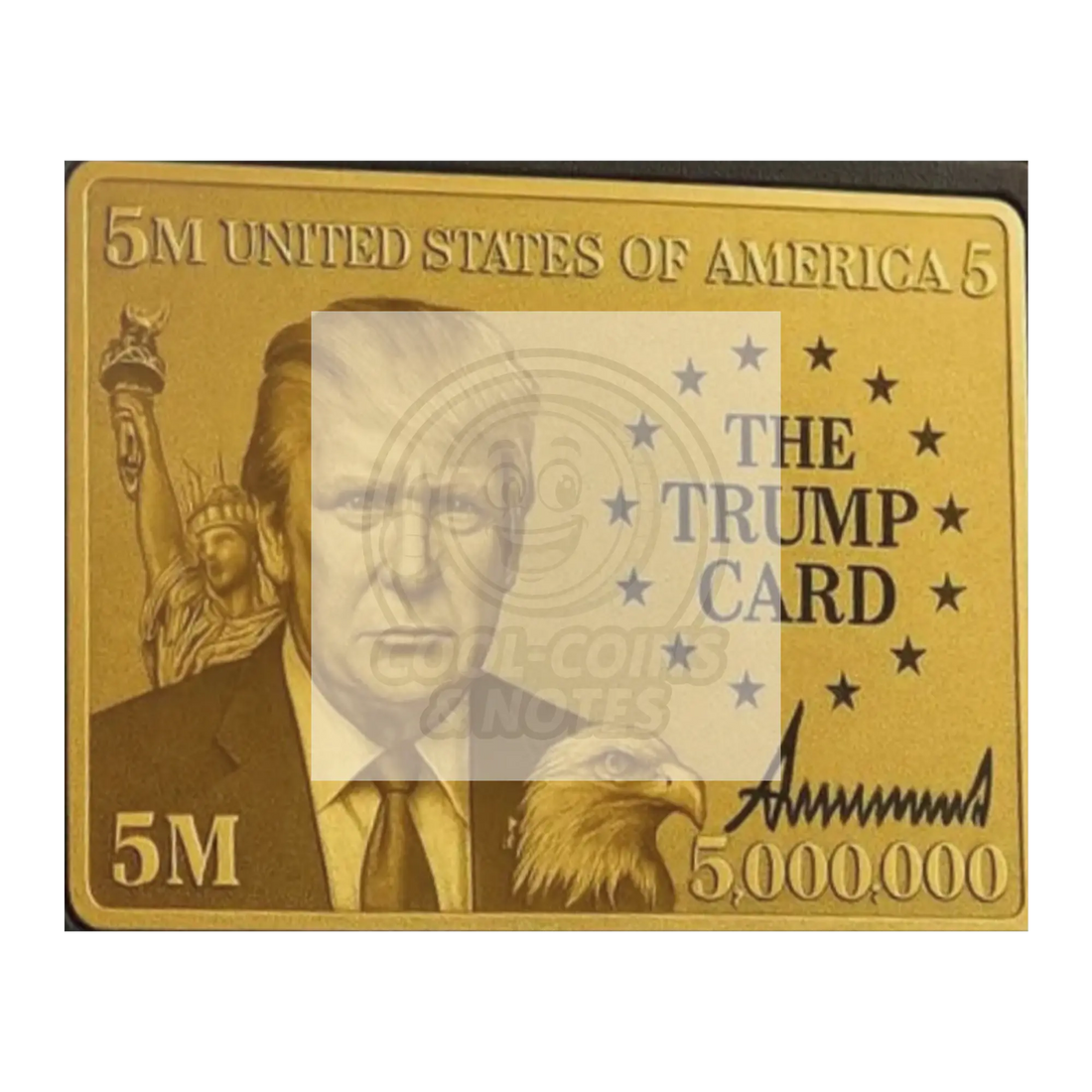 Donald_Trump_5_Million_Dollar_Visa_Gold_16x20_Flat_H_Mockup.png