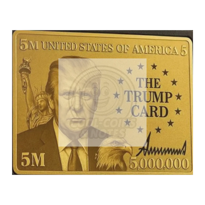 Donald_Trump_5_Million_Dollar_Visa_Gold_16x20_Flat_H_Mockup.png