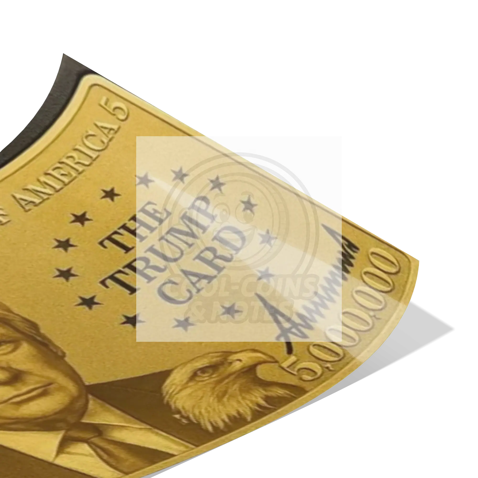 Donald_Trump_5_Million_Dollar_Visa_Gold_16x20_Fold_H_Mockup.png