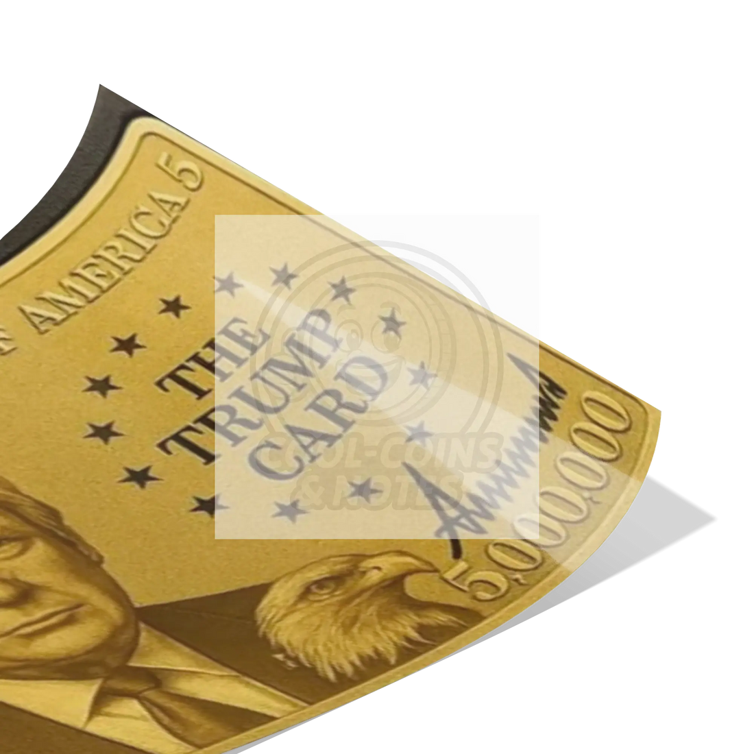 Donald_Trump_5_Million_Dollar_Visa_Gold_16x20_Fold_H_Mockup.png