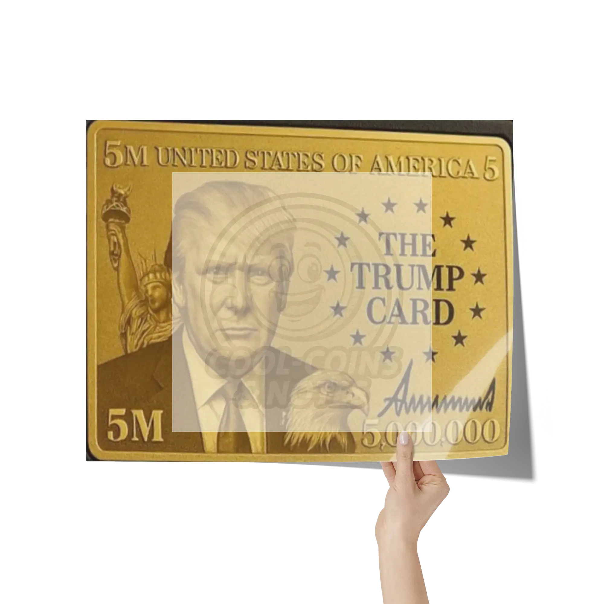 Donald_Trump_5_Million_Dollar_Visa_Gold_16x20_Hand_H_Mockup.png