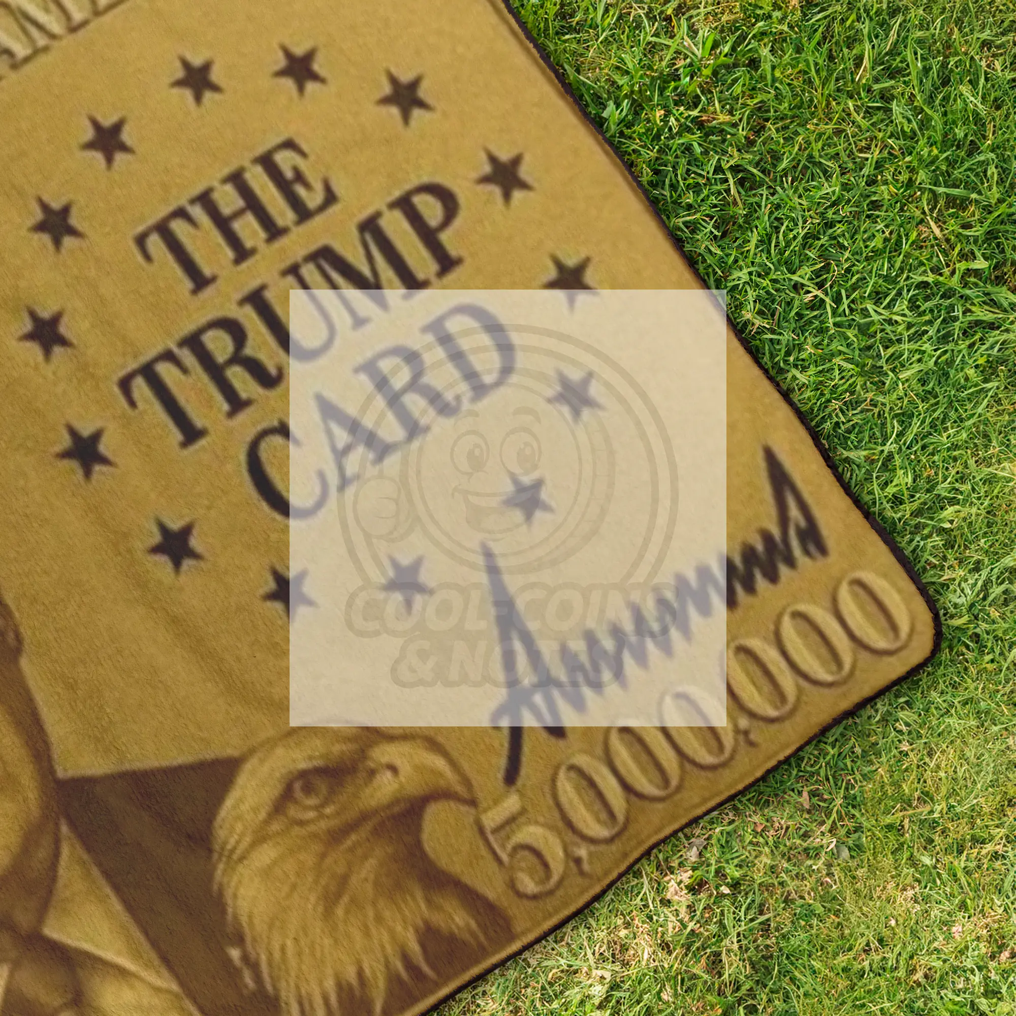 Donald_Trump_5_Million_Dollar_Visa_Gold_StadiumBlanket_OverheadGrass_H_Mockup.png