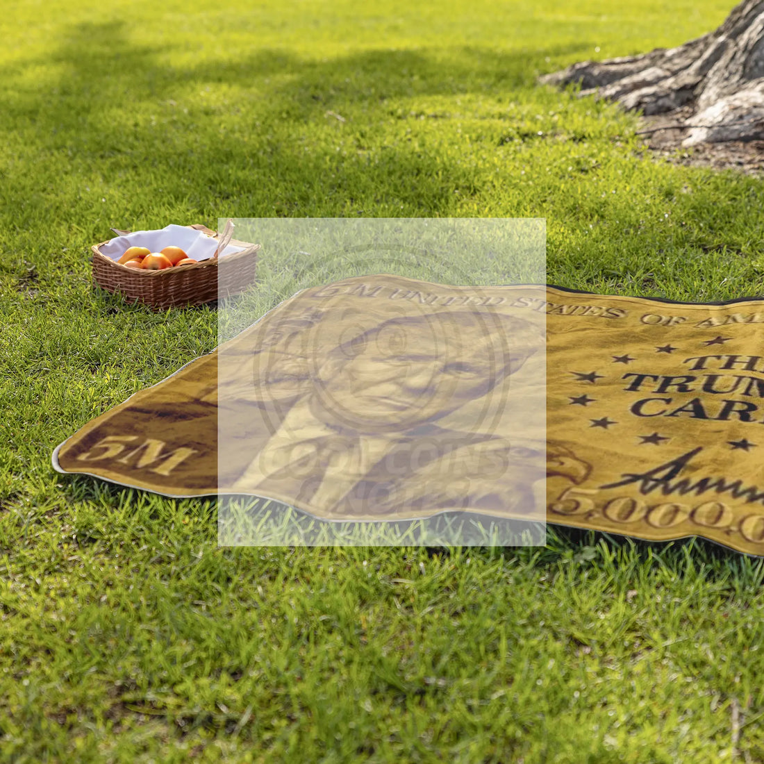 Donald_Trump_5_Million_Dollar_Visa_Gold_StadiumBlanket_Lifestyle_Grass_H_Mockup.png