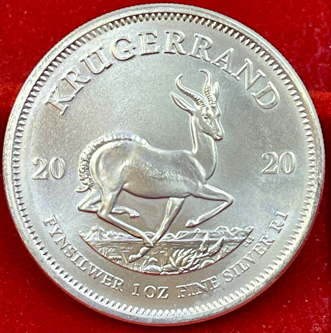 South Africa 2020 1 Krugerrand Silver UNC Coin - Cool Coins & Notes